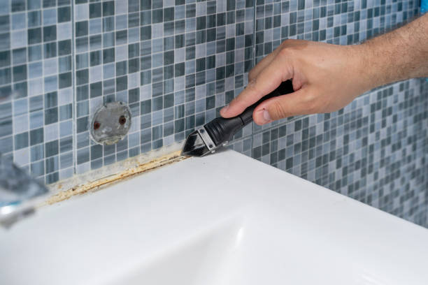 Best Industrial Mold Remediation in Menonee, MI